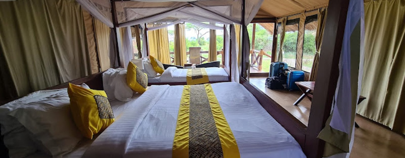 simba lodge 6